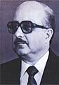 Mudar Badran portrait