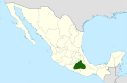 Nopal rastrero para Niños