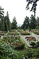 Portland Rose Garden