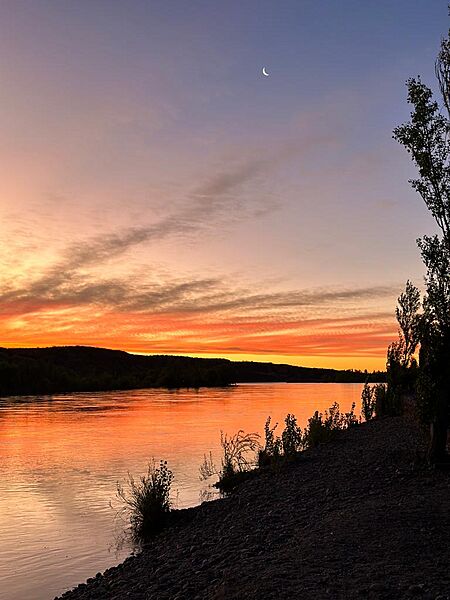 Rio Limay Isla verde