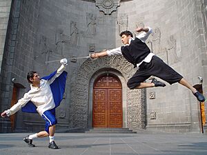 Archivo:Rumata Stunts Esgrima 1