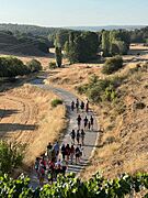 Ruta por el Tajuña