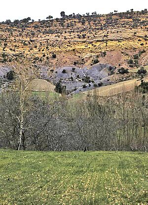 Archivo:Santibáñez de Ayllón, ladera