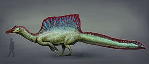 Spinosaurus 2020 reconstruction.jpg