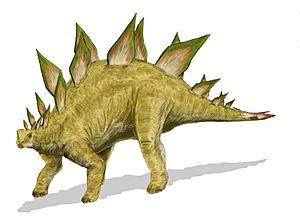 Archivo:Stegosaurus BW