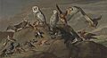 Study of Birds - Google Art Project