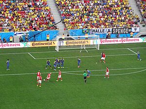 Archivo:Switzerland and Ecuador match at the FIFA World Cup 2014-06-15 DSC06425 (14429210212)