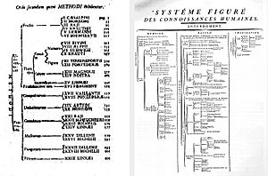 Archivo:Taxonomy Linné & Diderot