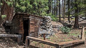 Archivo:Tharp's Log, Sequoia & Kings Canyon National Parks