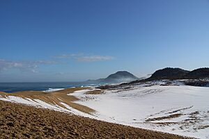 Archivo:Tottori Sand Dunes 20170128-1