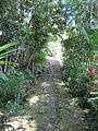 Trail to Yap Village (2848943757)