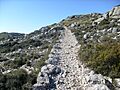 Valldemossa 41