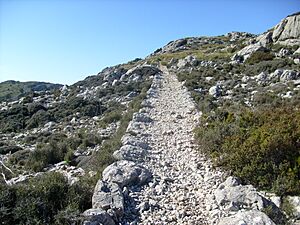 Archivo:Valldemossa 41