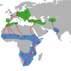 Distribución y migración