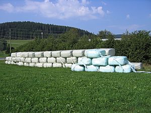 Archivo:Wrapped bales 3235