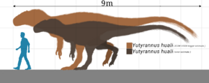 Archivo:Yutyrannus huali size chart