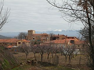 Ahedo20100203024730SAM 1850.jpg