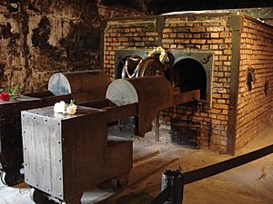 Archivo:Auschwitz Crematorium