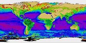 Archivo:Biosphere CZCS NDVI