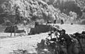 Bundesarchiv Bild 101I-203-1686-25, Albanien, deutsche MG-Stellung