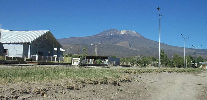 Buta Ranquil 01 (cropped)