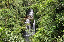 Catarata Rara Avis, Sarapiquí, Heredia, Costa Rica