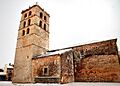 Cedillo de la Torre (3)