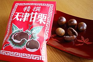 Archivo:Chinese Chestnut,Tenshin-amaguri,Katori-city,Japan