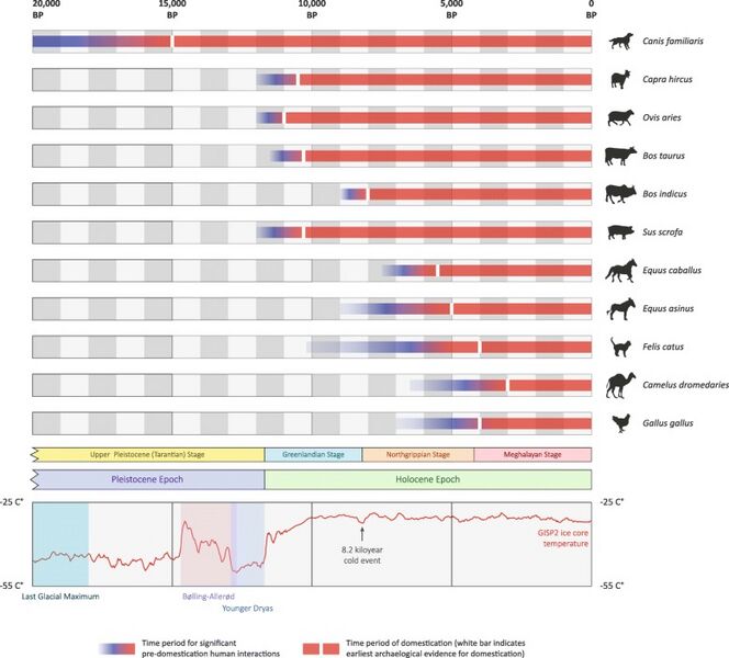 Domestication Timeline