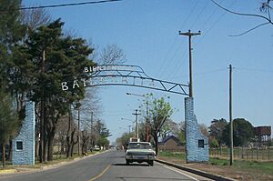 Archivo:Entrada a Baigorrita (partido de General Viamonte) por la Ruta Provincial 65
