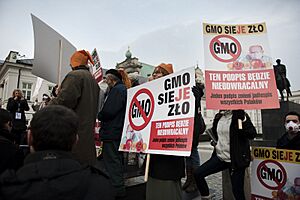 Archivo:Gmo (56928536)