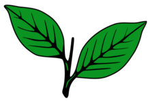 Indian Election Symbol Two Leaves.svg