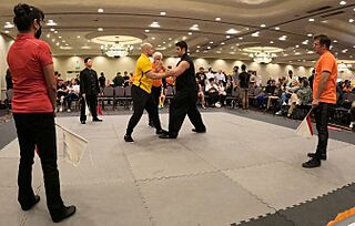 Kung Fu Tournament.jpg