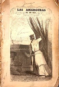 Archivo:Las amarguras de un Rey novela histórica original de Don Nicasio Camilo Jover. (47246068242)