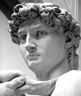 Michelangelo's David - 63 grijswaarden