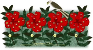 Archivo:Natural selection flowchart