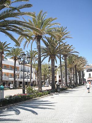 Archivo:Playa de Nerja palmeral