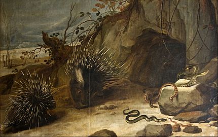 Snyders, Frans - Porcupines and vipers - Google Art Project