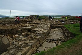The excavations at Ness of Brodgar.jpg