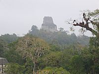 Archivo:Tikal1