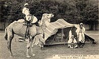 Archivo:Tuareg 1907