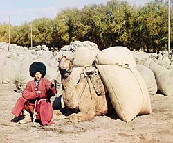 Archivo:Turkmen man with camel