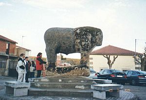 VERRACO DE VILLANUEVA DEL CAMPILLO 2.jpg