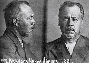 Archivo:Vavilov in prison