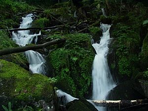 Archivo:Wasserfall-vosges