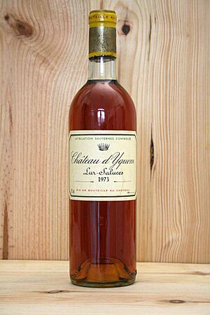 Archivo:Yquem 73