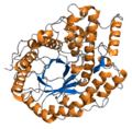 2xfr b amylase