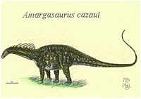 Archivo:Amargasaurus cazaui