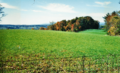Autumn meadow scene near Woodlawn, Virginia