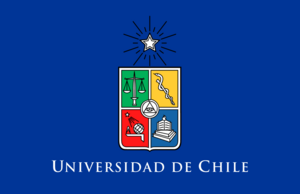 Archivo:Bandera Universidad de Chile (no oficial)